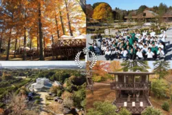 「さつまいも詰め放題にしゃぼん玉も！泊まれる植物園・茨城「林音」の1周年イベント」の写真