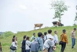 定期的に開催される「牧場お散歩ツアー」では、乳搾りや放牧地に入り酪農の仕事や牛の生態について学びます