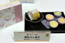 「白あんを絞って親子でうどんづくり！　香川のお菓子「讃岐うどん最中」が知事賞受賞」の写真