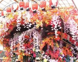 今市屋台まつり（C）日光市観光協会　フォトライブラリ