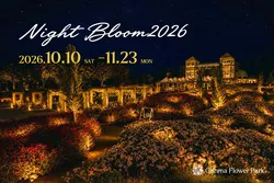 夜はマリーゴールドが光で彩られます（イメージ）