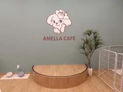 「保護犬・保護猫とふれあえるカフェが移転オープン！未就学児は無料　東京・新宿四ツ谷」の写真