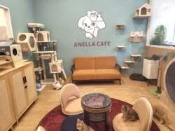 「保護犬・保護猫とふれあえるカフェが移転オープン！未就学児は無料　東京・新宿四ツ谷」の写真