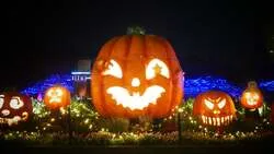 「約55万球の光が夜の森を彩る！仮装で楽しむハロウィンナイト　埼玉・武蔵丘陵森林公園」の写真