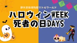 「子供の仮装が解禁！イリュージョンショーやピニャータ割りも　愛知・リトルワールドで」の写真