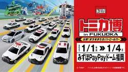 「100台のパトカートミカが一斉に走る！新春の「トミカ博」　福岡・みずほPayPayドーム」の写真