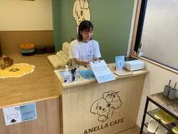 「保護犬・保護猫とふれあえるカフェが移転オープン！未就学児は無料　東京・新宿四ツ谷」の写真
