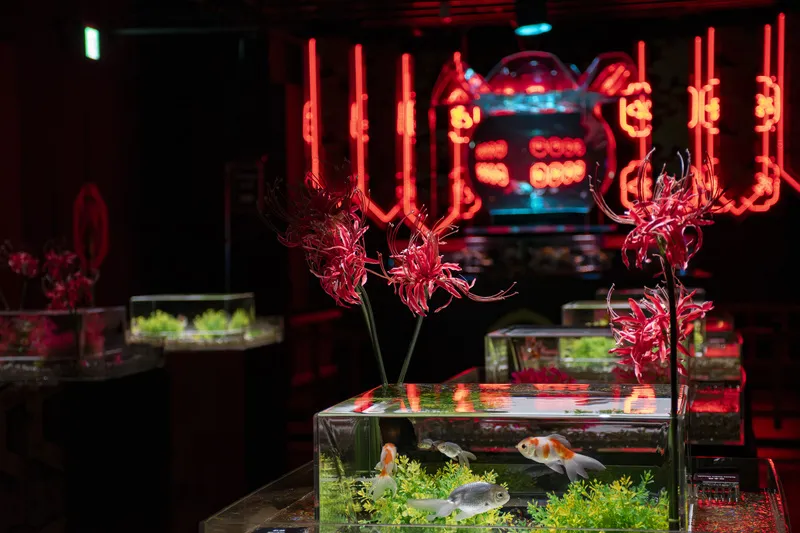 季節の花と金魚の共演を楽しむ「新金魚品評」2022年制作