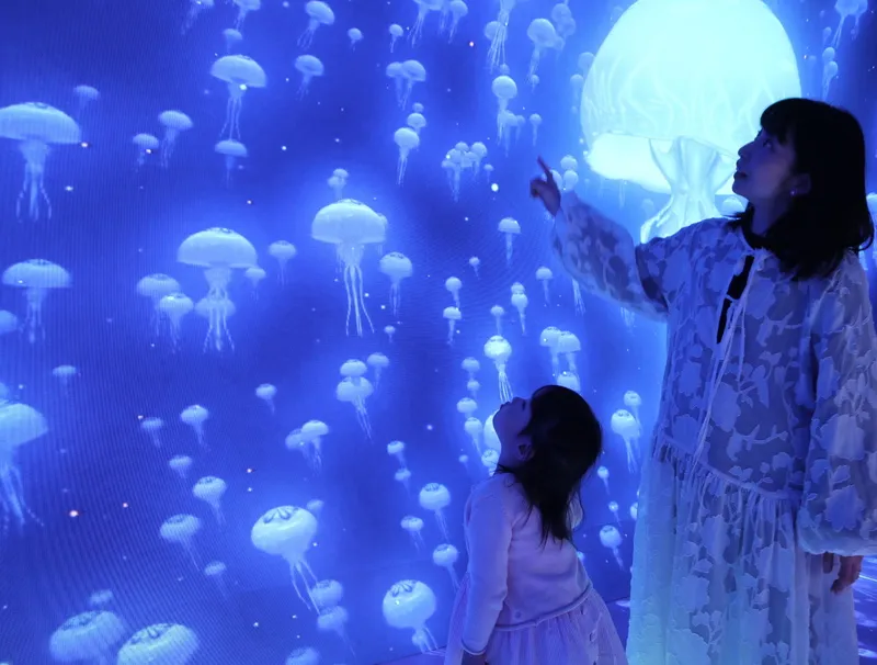 海のなかを歩いているような気分になれる「ダイブ・トゥ・ブルー」