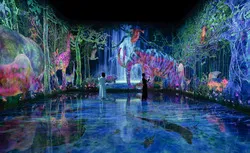 チームラボ《つかまえて集める絶滅の森》（C） チームラボ