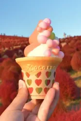 まるころコキアソフト　550円