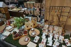 「マッシュルーム摘み取りもできる！入場無料のきのこ尽くしのお祭り 横浜みなとみらい」の写真