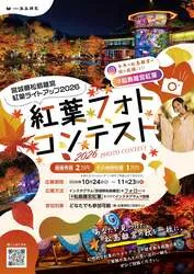 「日本唯一の十角三重塔と紅葉が光に包まれる！小学生以下は無料 宮城県松島離宮で開催」の写真