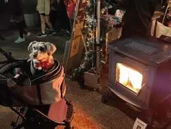 「子供が主役のクリスマスマーケット！焼きマシュマロや限定マグカップも 岐阜市長良で」の写真
