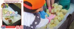 いきものふれあい展