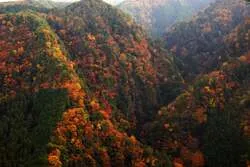 長坂山から眺める赤目四十八滝