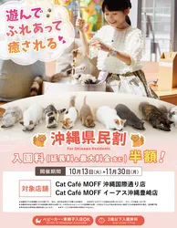 「沖縄県民なら猫カフェの入園料が半額に！土日も何度でもOK 那覇・豊見城の2店舗で」の写真