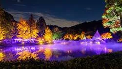「紅葉と雲海の幻想風景！夜のライトアップも楽しめる町田・薬師池公園の紅葉まつり」の写真