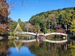 「紅葉と雲海の幻想風景！夜のライトアップも楽しめる町田・薬師池公園の紅葉まつり」の写真