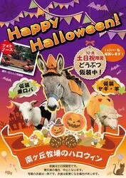 南ヶ丘牧場のハロウィン