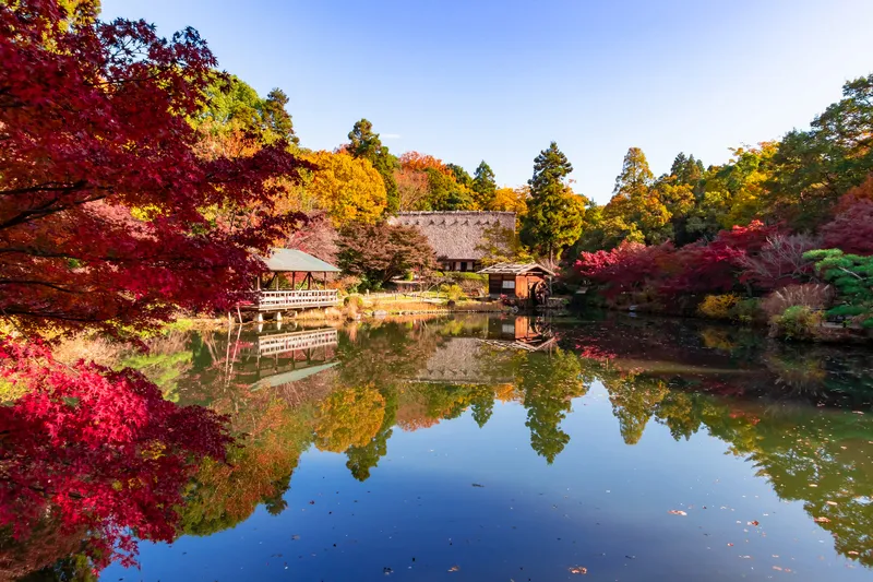 秋の紅葉に彩られた東山動植物園（画像提供：daysgoby_JPN / PIXTA）