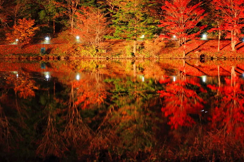 ライトアップされた紅葉が水面に映り込む、幻想的な茶臼山高原の夜景（画像提供：naomon / PIXTA）