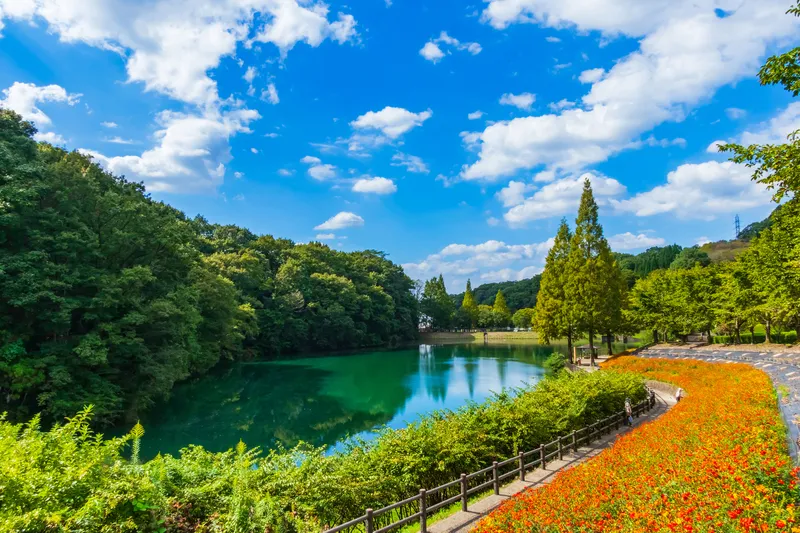 色とりどりのバラが咲き誇る園内の花壇（画像提供：daysgoby_JPN / PIXTA）