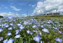 「【北海道・東北】子供に人気の社会見学ランキング 秋の行楽におすすめ」の写真