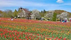 「【北海道・東北】子供に人気の牧場ランキング 秋の行楽におすすめ」の写真
