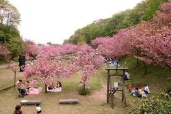 「【北陸・甲信越】子供に人気の公園・総合公園ランキング 秋の行楽におすすめ」の写真