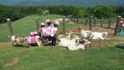 「【関東】子供に人気の牧場ランキング 秋の行楽におすすめ」の写真