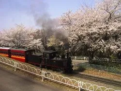 「【東海】子供に人気の公園・総合公園ランキング 秋の行楽におすすめ」の写真