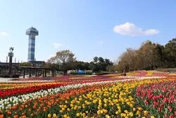 「【東海】子供に人気の公園・総合公園ランキング 秋の行楽におすすめ」の写真