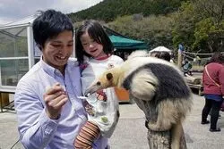 「【東海】子供に人気の動物園ランキング 秋の行楽におすすめ」の写真