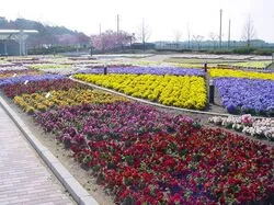 「【東海】子供に人気の植物園・フラワーパークランキング 秋の行楽におすすめ」の写真