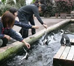 「【東海】子供に人気の植物園・フラワーパークランキング 秋の行楽におすすめ」の写真