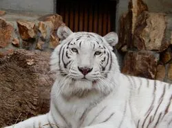 「【中国・四国】子供に人気の動物園ランキング 秋の行楽におすすめ」の写真