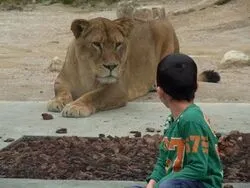 「【中国・四国】子供に人気の動物園ランキング 秋の行楽におすすめ」の写真