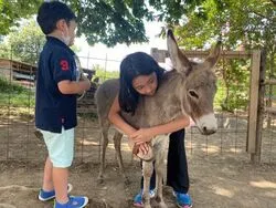 「【中国・四国】子供に人気の牧場ランキング 秋の行楽におすすめ」の写真