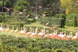 「【九州・沖縄】子供に人気の動物園ランキング 秋の行楽におすすめ」の写真