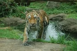 「【九州・沖縄】子供に人気の動物園ランキング 秋の行楽におすすめ」の写真