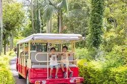 「【九州・沖縄】子供に人気の植物園・フラワーパークランキング 秋の行楽におすすめ」の写真