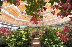 「【九州・沖縄】子供に人気の植物園・フラワーパークランキング 秋の行楽におすすめ」の写真