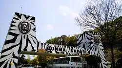 「【関東】2026年10月17日は「国際ナマケモノデー」ナマケモノに会えるスポット9選」の写真