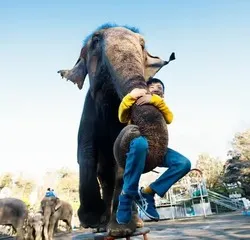 「【2026関東】今、会っておかなきゃ！「絶滅危惧種」に出会える動物園9選」の写真