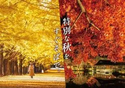 「【関東】2026年11月の親子向けおでかけ先＆イベント厳選 イルミ＆フェス＆入場無料も」の写真