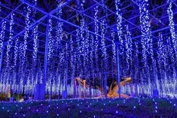 「【関東】2026年11月の親子向けおでかけ先＆イベント厳選 イルミ＆フェス＆入場無料も」の写真