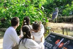 「【2026最新】ハシビロコウに会える全国の動物園・花鳥園6選｜上野の4羽は10/25まで！」の写真