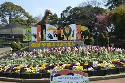 「【2026最新】マヌルネコに会える全国のスポット9選｜神戸で赤ちゃん5頭を公開中！」の写真