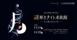 「閉館後の水族館で謎解き！生きものがヒントの夜イベントが仙台うみの杜水族館で初開催」の写真